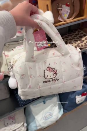 Stylish Lightweight & Compact Carry Bag